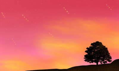 網(wǎng)絡(luò)工程專業(yè)就業(yè)方向與前景分析 聚焦軟件開發(fā)與應(yīng)用